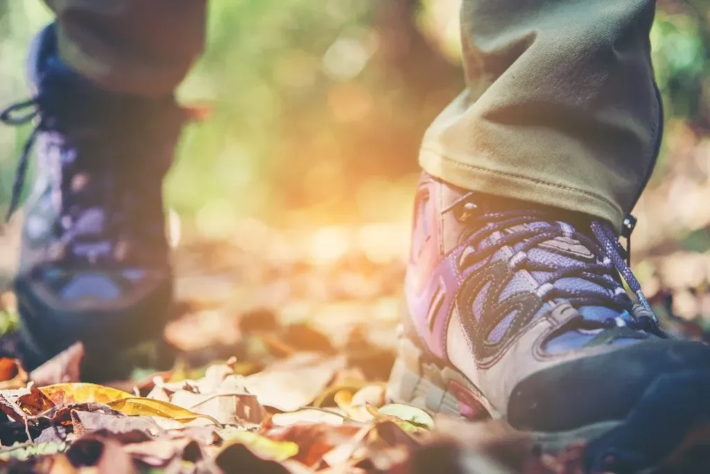 Wanderschuhe auf Waldboden